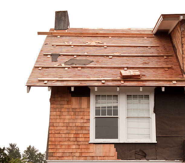 Affordable Siding Repair and Maintenance Services in River Ridge, LA